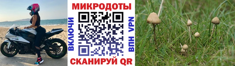 где можно купить наркотик  Анадырь  Галлюциногенные грибы ЛСД 